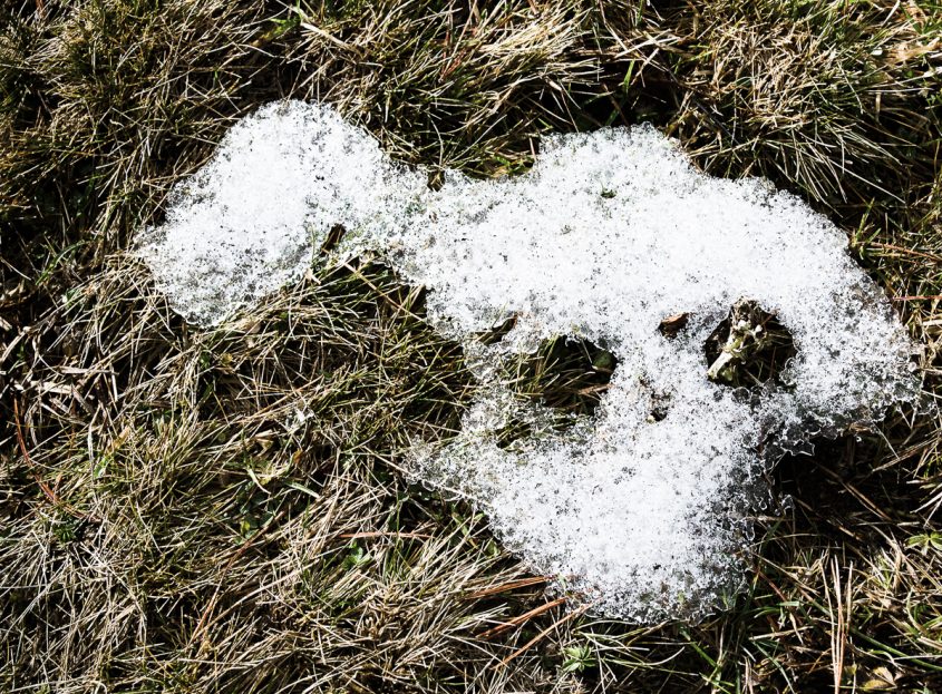 Schnee