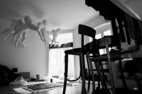 Judith Klemenc, im Atelier